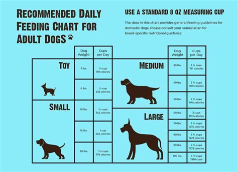 Puppy Feeding Chart Dogs