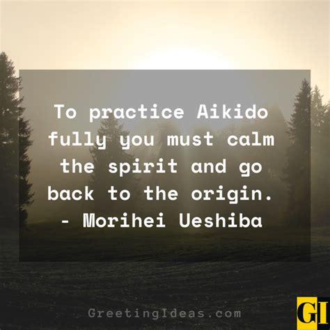 30 Best Aikido Quotes Sayings From Martial Artists Legends