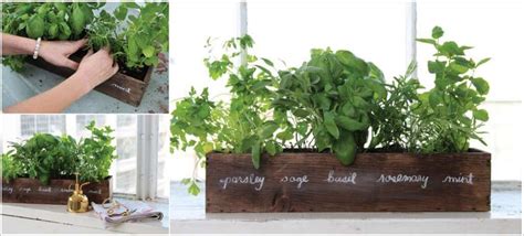 Great Kitchen Herb Garden Ideas