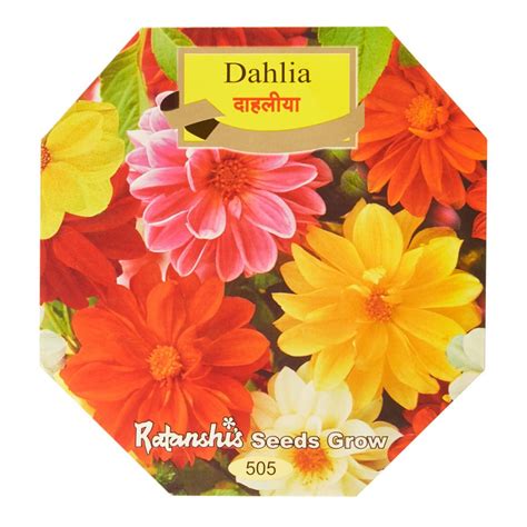 Dahlia Mixed Seeds | When to sow dahlia seeds in India