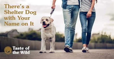 Celebrate National Adopt-a-Shelter-Dog Month | Taste of the Wild