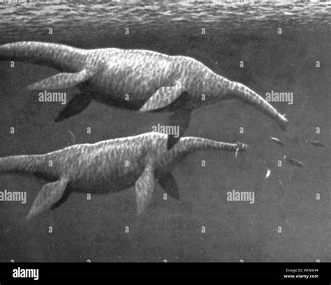 Peter Scott's painting of the Loch Ness Monster 1975 Stock Photo - Alamy