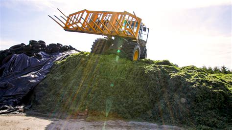 Environmental considerations for silage storage - Agriland.ie