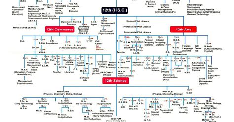 what are career options after class 12 with PCB?