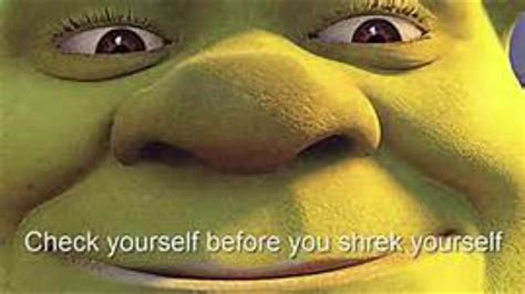 shrek is drunk - YouTube