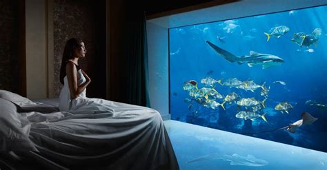 The 12 Best Themed Hotel Rooms for a Memorable Stay