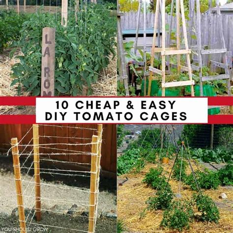 10 Cheap & Easy Tomato Cages To DIY This Weekend - You Should Grow