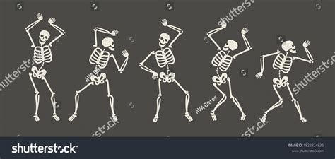 898,872 Skeleton Images, Stock Photos, 3D objects, & Vectors | Shutterstock