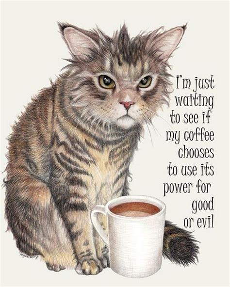 Coffee Humor To Start Your Day with Funny Images, Quotes, and Memes