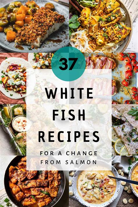 37 Delicious White Fish Recipes For A Change From Salmon