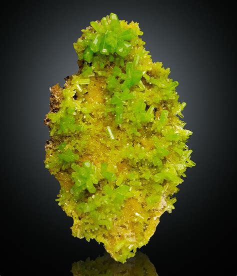 Bright apple green glassy sharp Pyromorphite crystals on matrix.Daoping ...