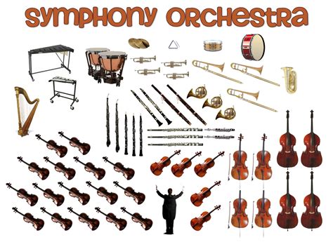 Instruments Of The Orchestra - Lessons - Tes Teach