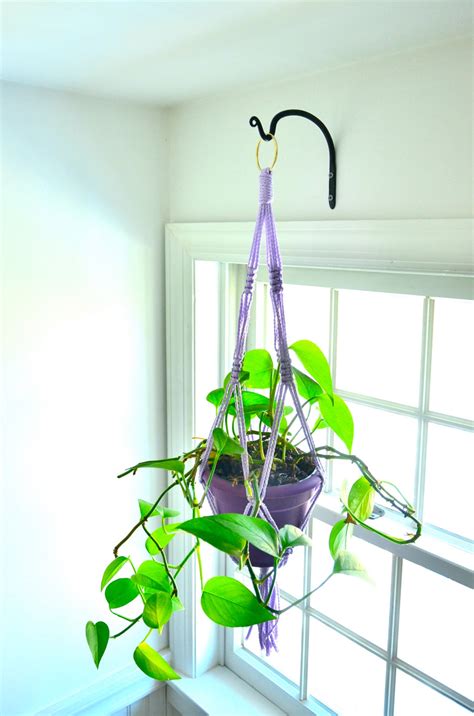 Hanging Plant Hook / Steel Wall Hook / Indoor Hanging Plant / - Etsy