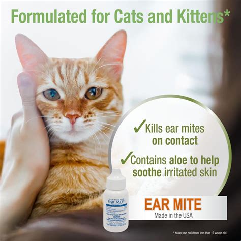 Veterinary Treatment For Ear Mites In Cats