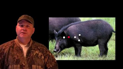 5 Best Night Vision Scopes For Hog Hunting In 2023 (Pros & Cons)