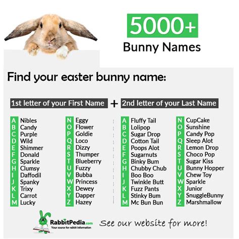 5000+ Most Popular Bunny Names (Top 250 Boy & Girl) - RabbitPedia.com