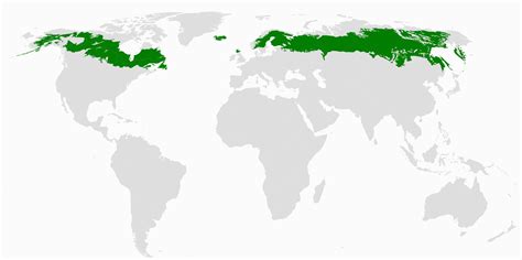 Boreal forest Canada Map | secretmuseum