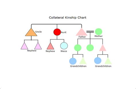 Kinship Chart Diagram Tutorial: Explain with Examples