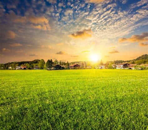 Countryside Meadow Field on Sunset Stock Photo - Image of outside ...