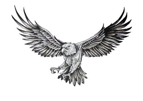 Eagle vector // bald eagle // tattoo | Small eagle tattoo, Eagle ...