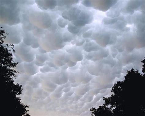 Marshmallow Clouds | Shutterbug