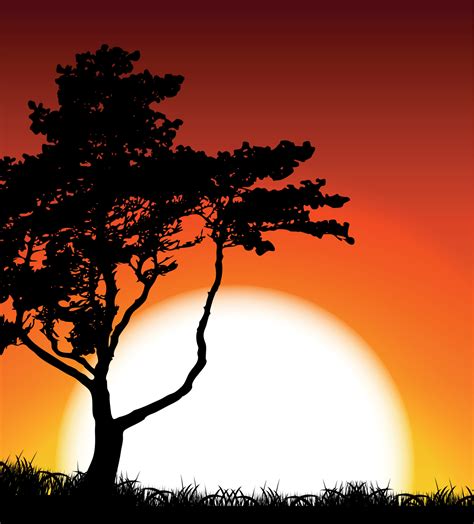 Silhouette of Tree on Sunset Background. Vector Illustration 4553428 Vector Art at Vecteezy