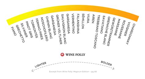 Expert Tips On Choosing Dry White Wines (Video) | D-Vino