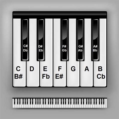 Printable Piano Key Labels