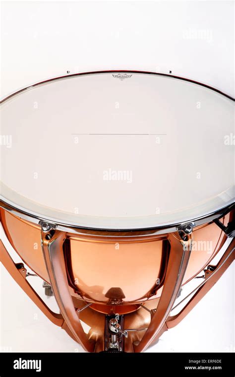 Timpani Heads | seeds.yonsei.ac.kr