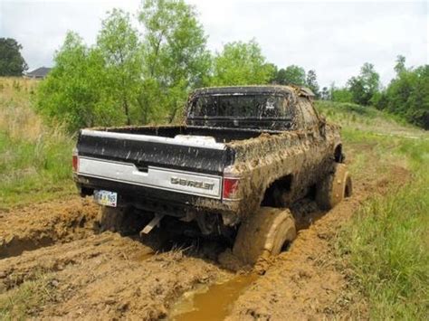 170 best images about Mudding on Pinterest | Chevy, Trucks and Diesel trucks