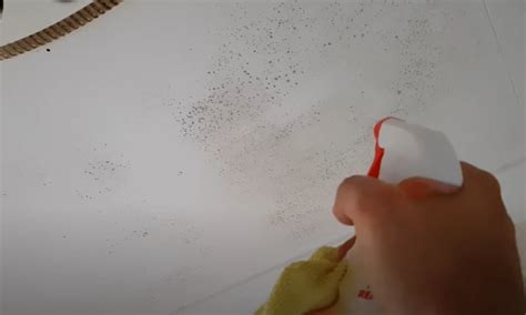 How to Remove Mold from Bathroom Ceiling? (Causes & Tips)