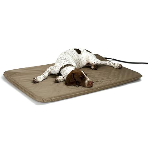 This Popular Outdoor Heated Pet Bed Keeps Dogs Warm in Cold Weather