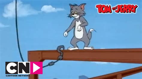 Tom jerry cartoon n - realityadams