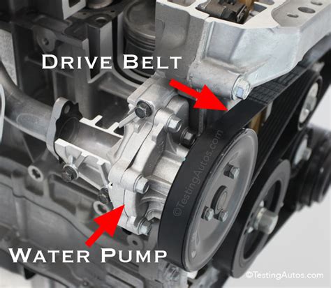 Is The Water Pump Driven By The Timing Belt - Belt Poster