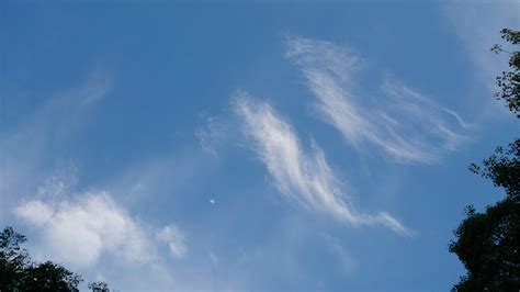 File:Blue sky with wispy clouds.jpg - Wikimedia Commons