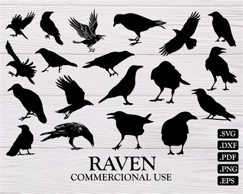 Raven Silhouette Vector at Vectorified.com | Collection of Raven Silhouette Vector free for ...