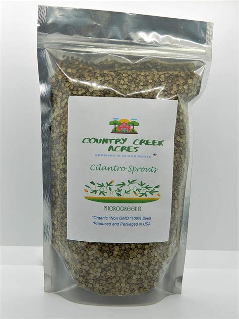 Amazon.com : Cilantro Seed, Sprouting Seeds, Microgreen, Sprouting, 4 OZ, Organic Seed, Non GMO ...