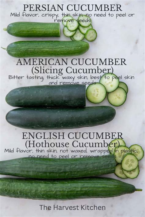 English Cucumber - The Harvest Kitchen