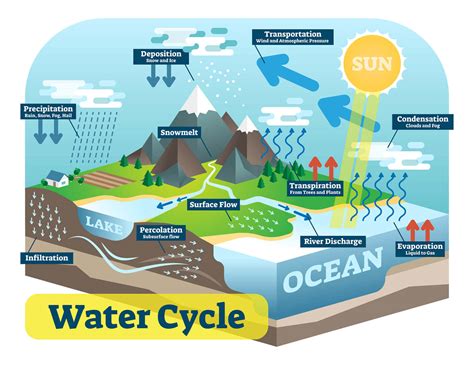 Water Cycle » Resources » Surfnetkids