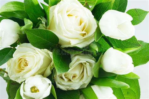 Bouquet with Tulips and Roses Stock Photo - Image of romantic, natural: 95151666