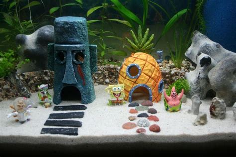 Custom Aquariums, Fish Tanks, Koi Ponds | Okeanos Aquascaping NYC | Spongebob fish tank, Fish ...