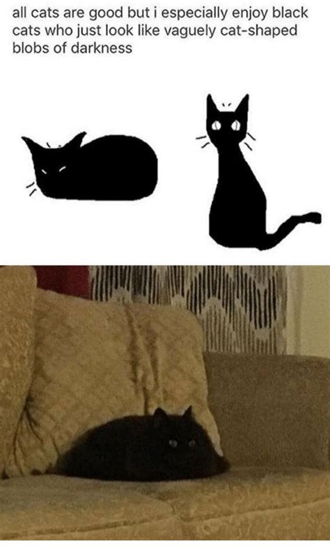 Who else has a black cat? : r/Catmemes