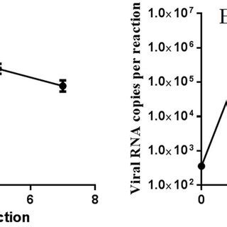 Identification of time point specific different expression miRNAs in... | Download Scientific ...