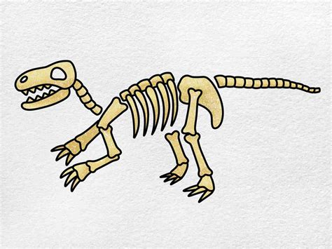 Dinosaur Fossils Drawing