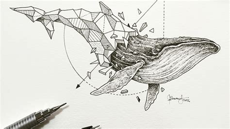 Artist Pairs Wildlife With Geometry to Create Stunning, Lively Drawings ...