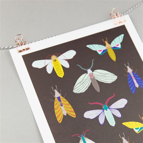 A4 Art Print Moth Illustration on Dark Background - Etsy UK