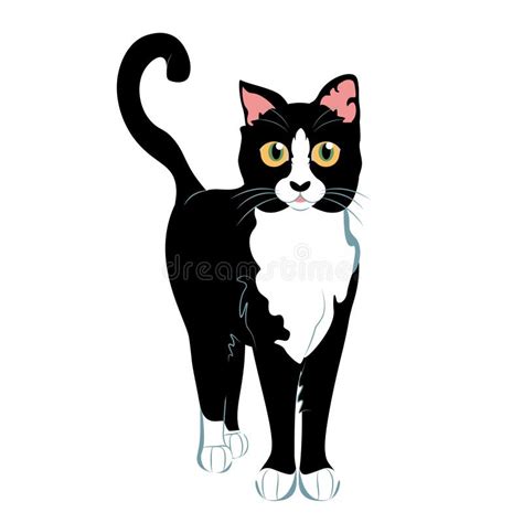 Cartoon Black and White Cat Stock Vector - Illustration of modern, character: 40375470