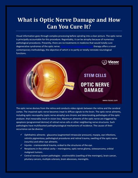 What is Optic Nerve Damage and How Can You Cure It