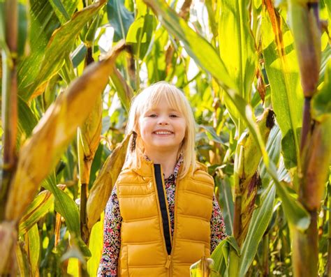 5 Corn Maze Safety Tips