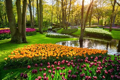 Keukenhof Tulip Park near Amsterdam 2024 - Enjoy the Dutch Countryside